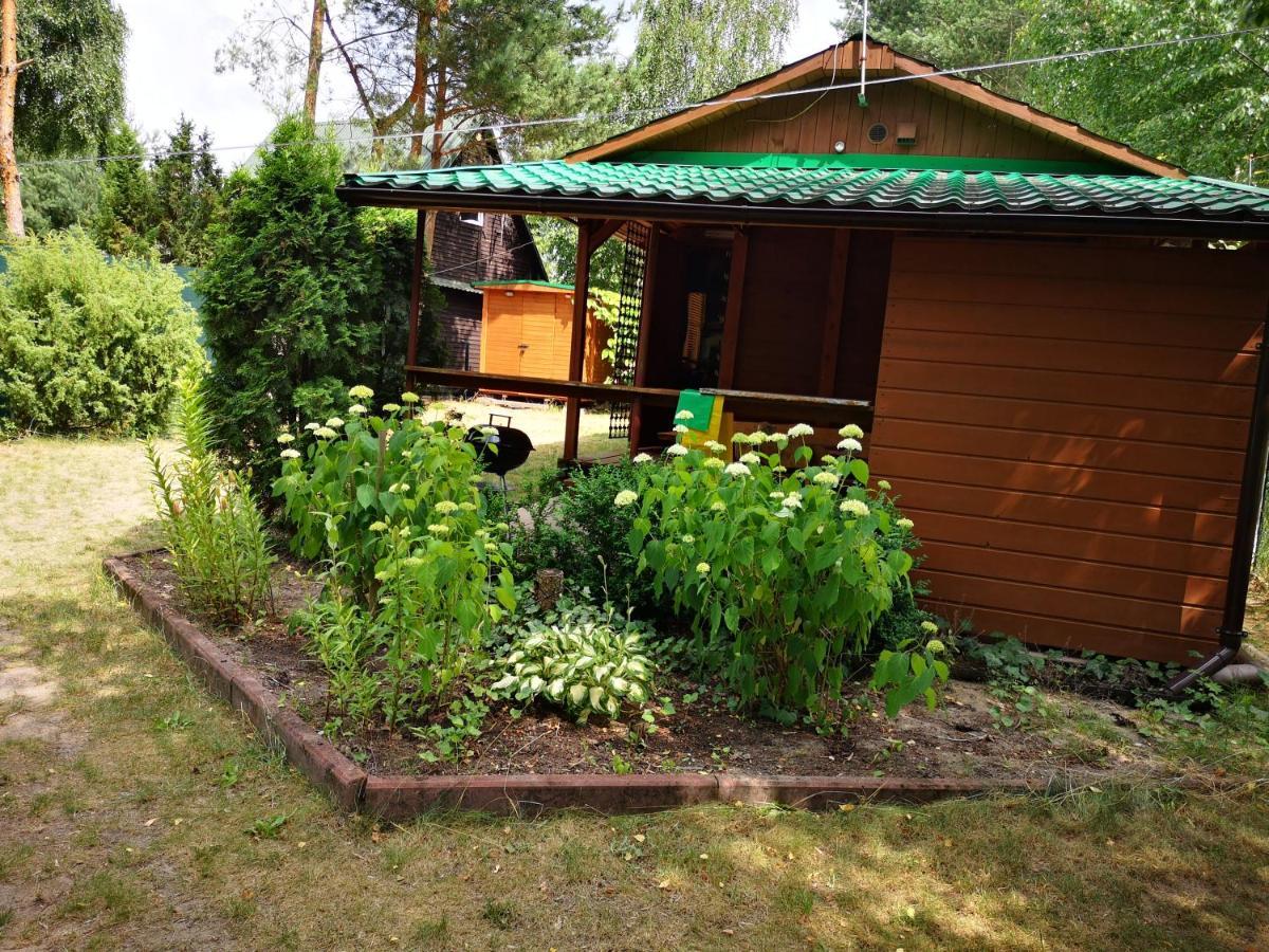 Domki Domek Na Jeziorem Wilczynskim Budzislawskim , Las, Osobno Ogrodzony 2-6 Osob- Klimatyzacja, Ogrzewanie, 62-550 Zygmuntowo Gm Wilczyn Екстериор снимка