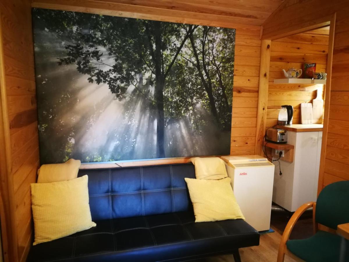 Domki Domek Na Jeziorem Wilczynskim Budzislawskim , Las, Osobno Ogrodzony 2-6 Osob- Klimatyzacja, Ogrzewanie, 62-550 Zygmuntowo Gm Wilczyn Екстериор снимка